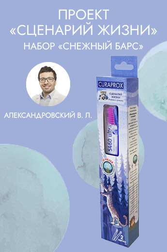  Набор «Снежный Барс»