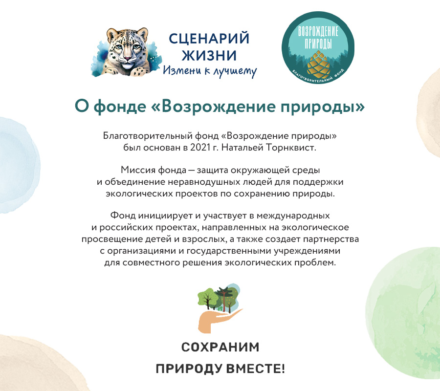 Набор Краснокнижные животные "Белый медведь"